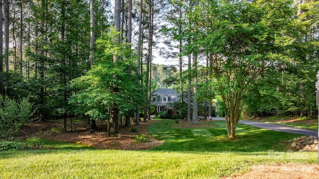 5487 Back Shore Dr, Granite Falls, NC 28630 - view of green lawn