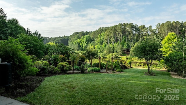 5487 Back Shore Dr, Granite Falls, NC 28630 - view of grassy yard with a view of trees