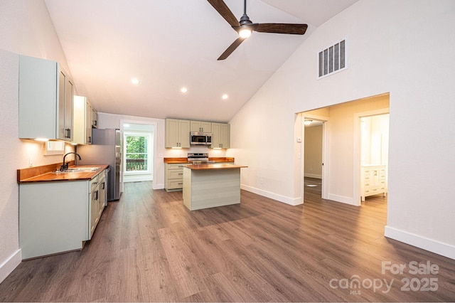 2448 Alfred Hartley Rd, Lenoir, NC 28645 - kitchen featuring appliances with stainless steel finishes, high vaulted ceiling, a sink, ceiling fan, and baseboards