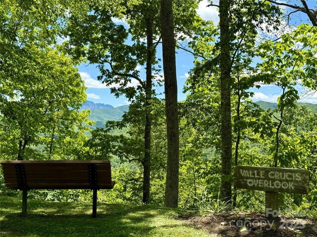 2160 Valle Cay Dr, Vilas, NC 28692 - view of mountain backdrop