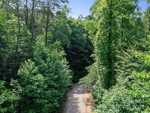 0 Magic Creek Ln, Marion, NC 28752