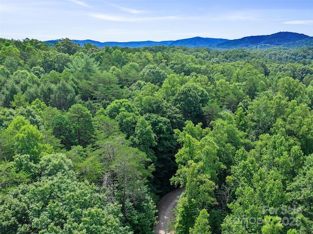 0 Magic Creek Ln, Marion, NC 28752