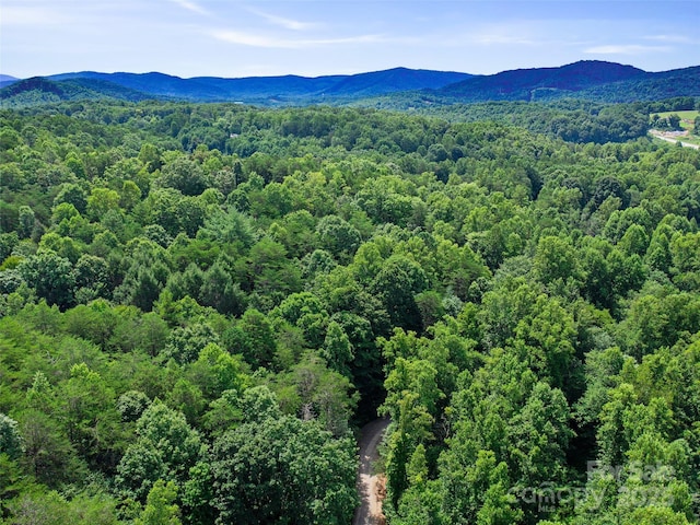 0 Magic Creek Ln, Marion, NC 28752