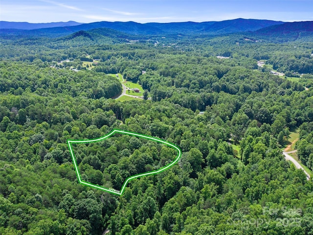 0 Magic Creek Ln, Marion, NC 28752