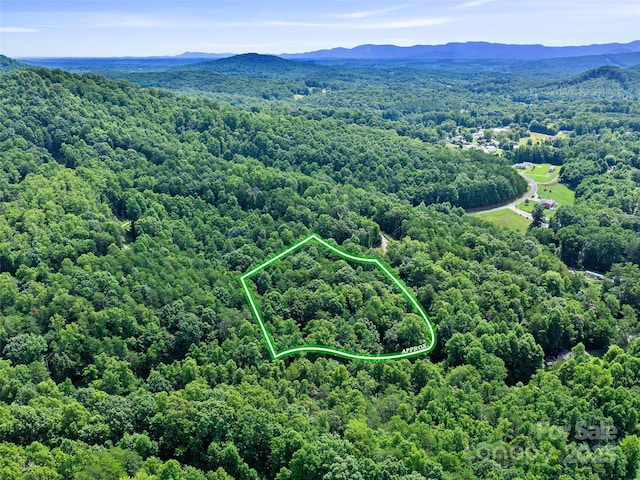 0 Magic Creek Ln, Marion, NC 28752