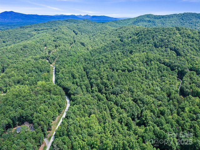 0 Magic Creek Ln, Marion, NC 28752