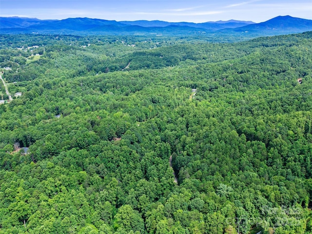 0 Magic Creek Ln, Marion, NC 28752
