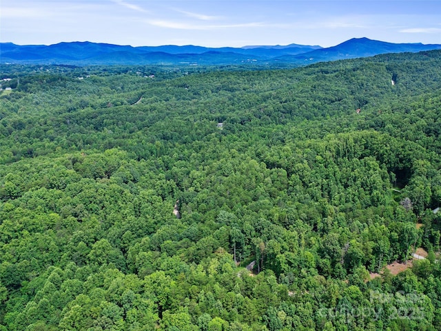 0 Magic Creek Ln, Marion, NC 28752