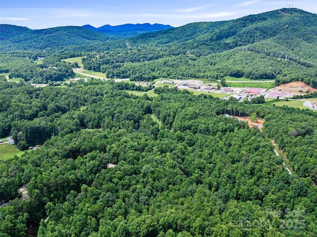0 Magic Creek Ln, Marion, NC 28752