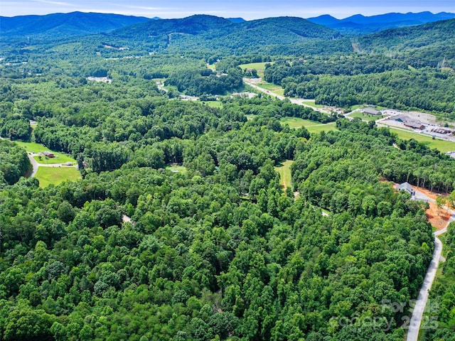 0 Magic Creek Ln, Marion, NC 28752