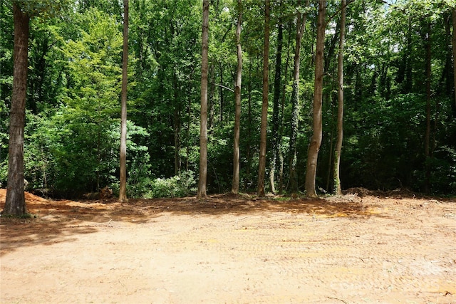 3452 Hands Mill Highway, York, SC 29745 - view of wooded area