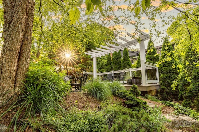 101 Windsor Rd, Asheville, NC 28804 - photo 34