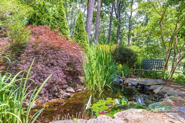101 Windsor Rd, Asheville, NC 28804 - photo 35
