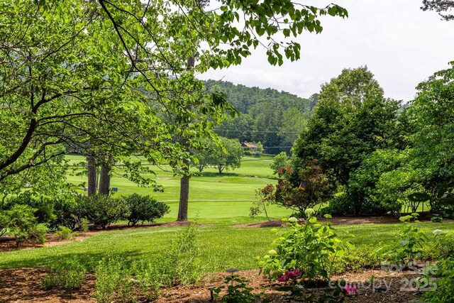 101 Windsor Rd, Asheville, NC 28804 - photo 39