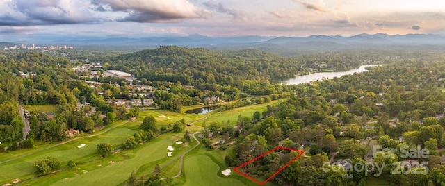 101 Windsor Rd, Asheville, NC 28804 - photo 40