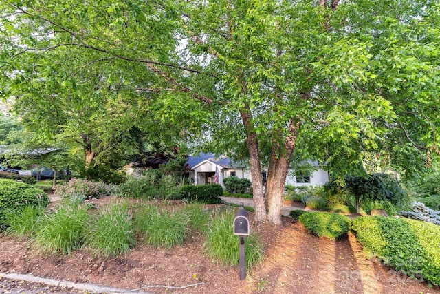101 Windsor Rd, Asheville, NC 28804 - photo 44