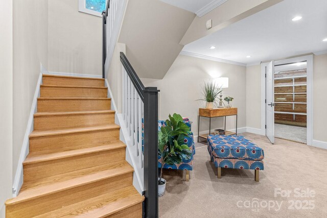 101 Windsor Rd, Asheville, NC 28804 - photo 23