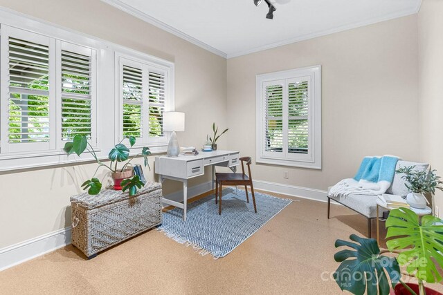 101 Windsor Rd, Asheville, NC 28804 - photo 25