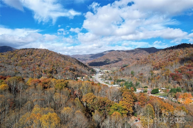 231 Highlands Loop, Maggie Valley, NC 28751 - view of mountain background featuring a forest
