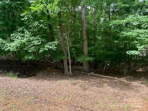 0 Woodrun Dr, Mount Gilead, NC 27306
