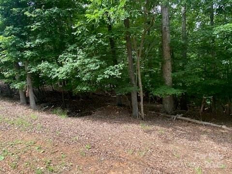 0 Woodrun Dr, Mount Gilead, NC 27306