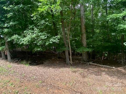 0 Woodrun Dr, Mount Gilead, NC 27306