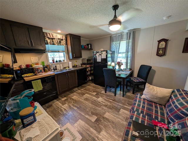 8827 Spring Meadow Dr, Hickory, NC 28601 - kitchen featuring black appliances, a sink, a textured ceiling, dark brown cabinetry, and ceiling fan