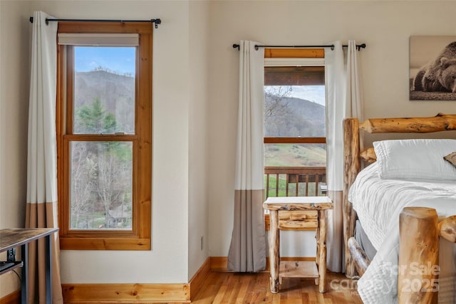 101 Trinity Dr, Clyde, NC 28721 - bedroom with wood finished floors and baseboards