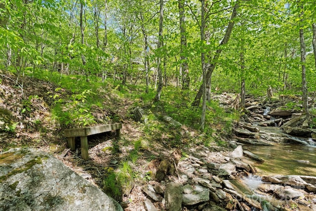 140 Spruce Hollow Rd, Beech Mountain, NC 28604 - view of local wilderness