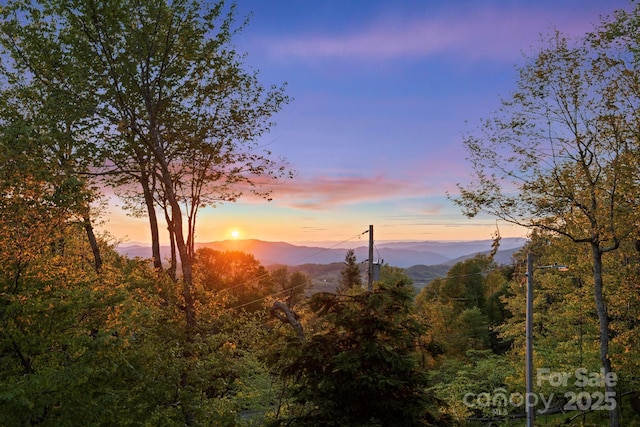 140 Spruce Hollow Rd, Beech Mountain, NC 28604 - view of mountain backdrop