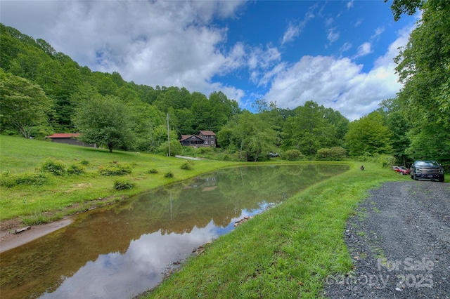 53 Chestnut Ridge Rd, Spruce Pine, NC 28777 - photo 5