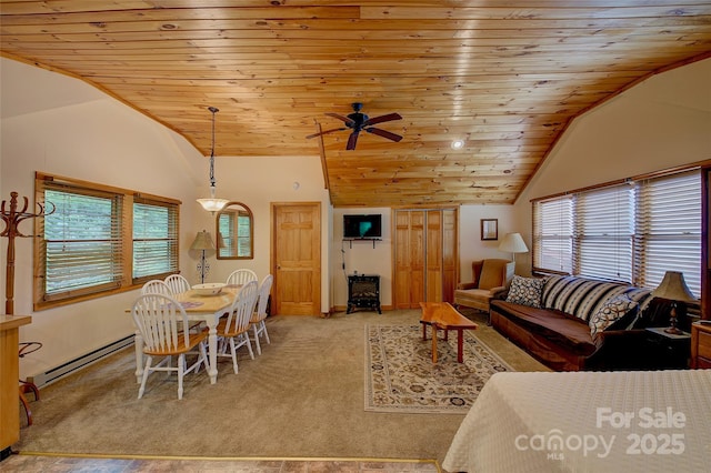 53 Chestnut Ridge Rd, Spruce Pine, NC 28777 - photo 30