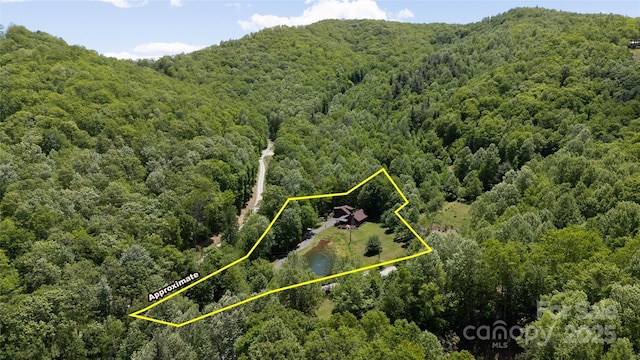 53 Chestnut Ridge Rd, Spruce Pine, NC 28777 - photo 44
