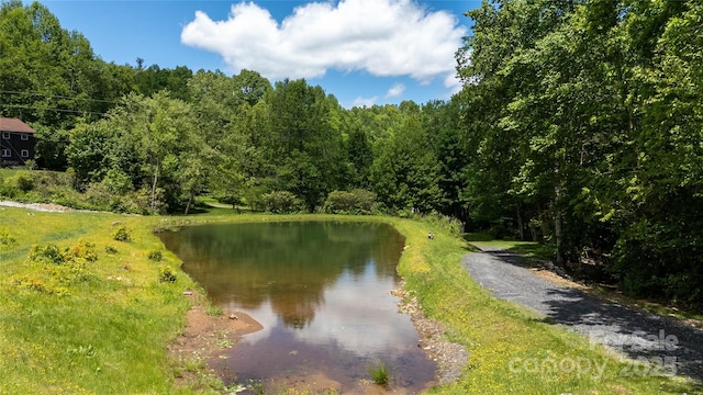 53 Chestnut Ridge Rd, Spruce Pine, NC 28777 - photo 33