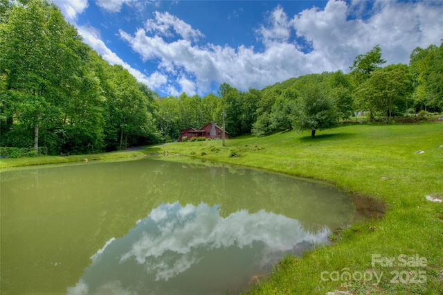 53 Chestnut Ridge Rd, Spruce Pine, NC 28777 - photo 34