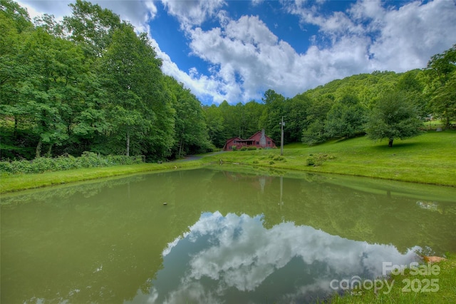 53 Chestnut Ridge Rd, Spruce Pine, NC 28777 - photo 35