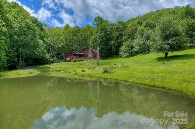 53 Chestnut Ridge Rd, Spruce Pine, NC 28777 - photo 36