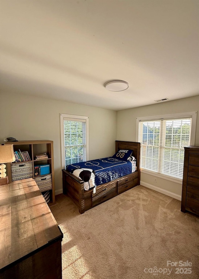 4230 Berry Hill Ct, Concord, NC 28025 - bedroom featuring multiple windows and carpet