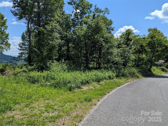 67 Creston Dr Unit T-17, Black Mountain, NC 28711