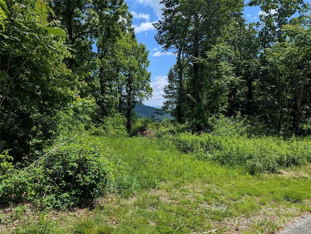 67 Creston Dr Unit T-17, Black Mountain, NC 28711