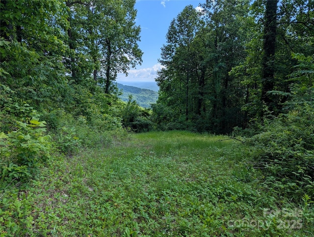 67 Creston Dr Unit T-17, Black Mountain, NC 28711