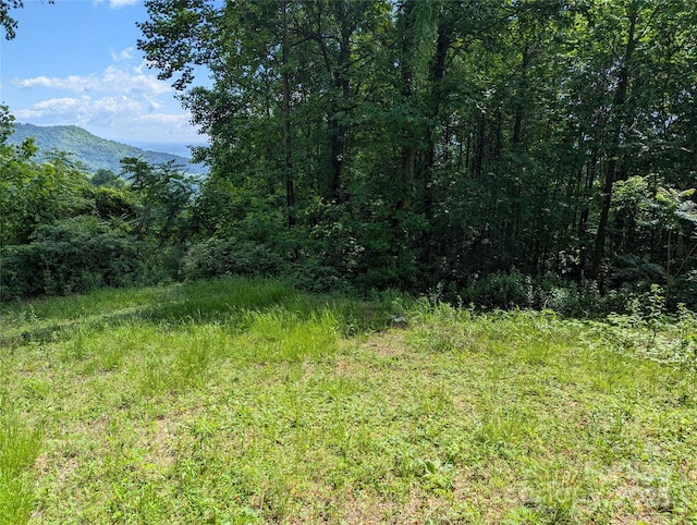 67 Creston Dr Unit T-17, Black Mountain, NC 28711