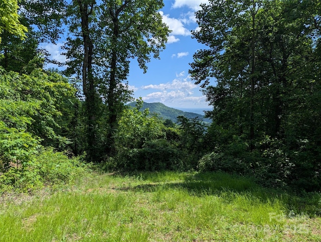 67 Creston Dr Unit T-17, Black Mountain, NC 28711