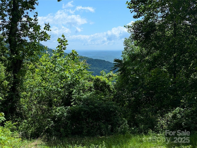 67 Creston Dr Unit T-17, Black Mountain, NC 28711