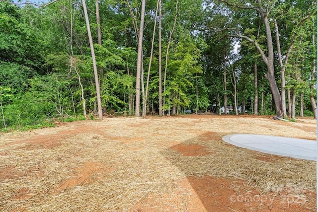 213 E Division Ave, East Spencer, NC 28039 - view of yard featuring a wooded view