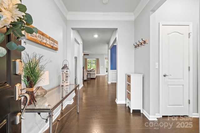 12637 Belmont Mansion Dr, Charlotte, NC 28273 - hall with crown molding, wood finished floors, and baseboards