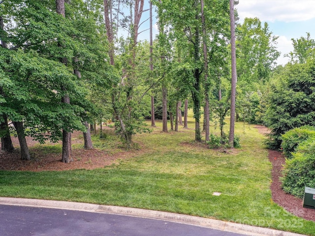 118 Gatlin Knl, New London, NC 28127