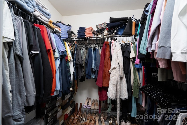12719 Walking Stick Dr, Charlotte, NC 28278 - view of walk in closet