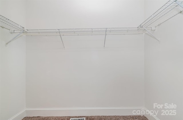 8429 Meadowcroft Ct, Charlotte, NC 28215 - walk in closet featuring carpet flooring