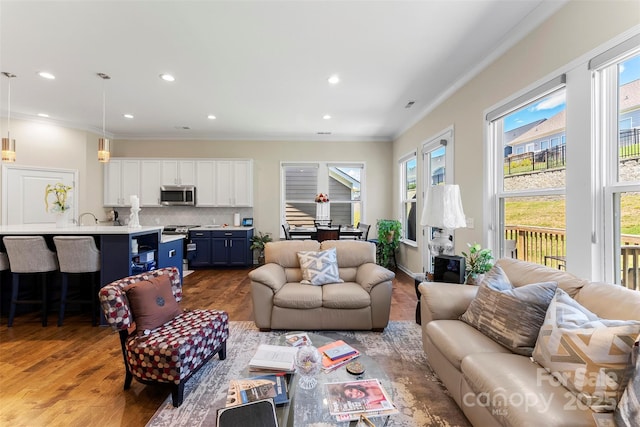 19004 Dry Narrows Way, Charlotte, NC 28278 - living room with wood finished floors, crown molding, and recessed lighting